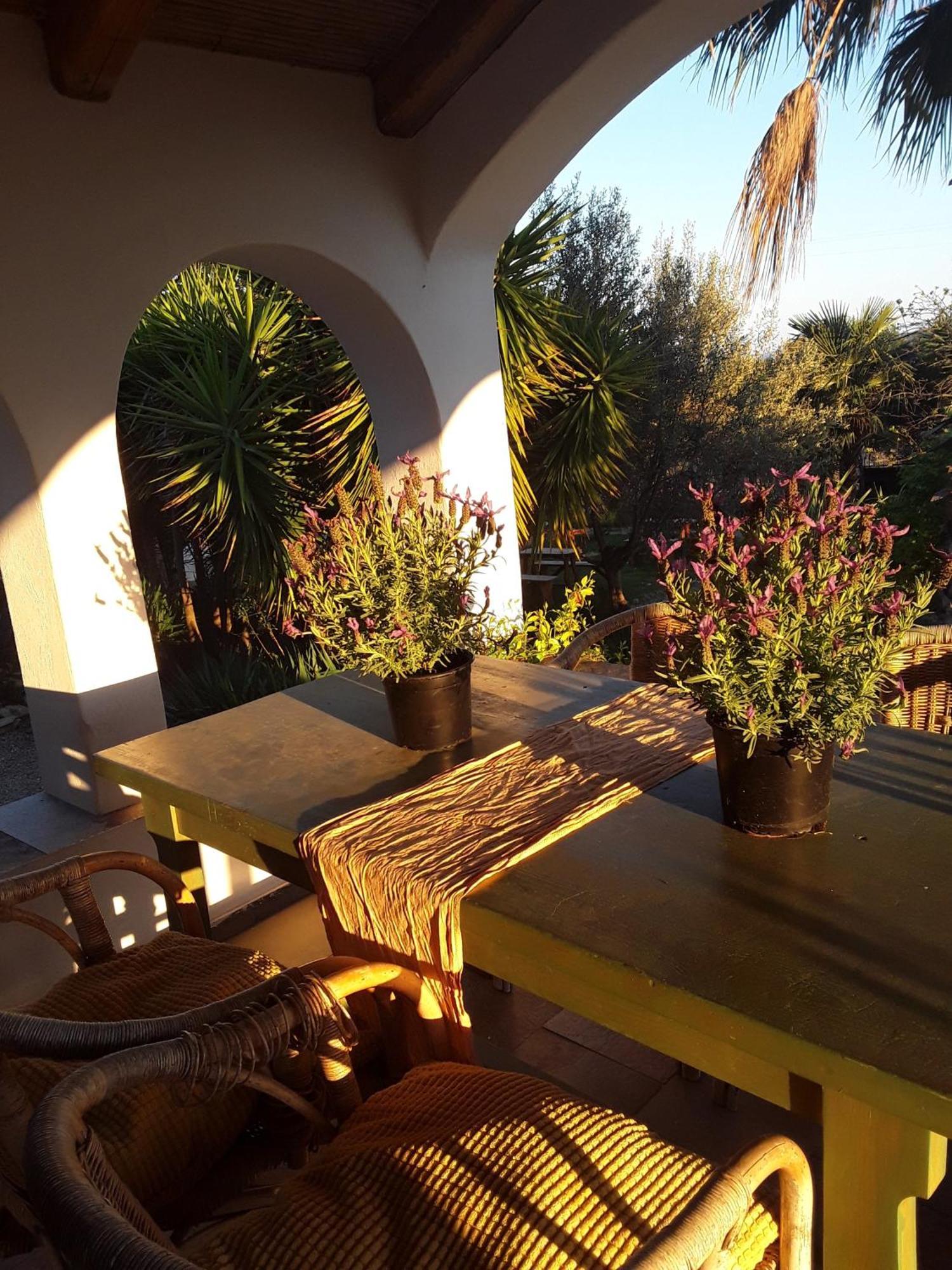 Cal Pau Cruset Guest House Torrellas de Foix Exterior photo